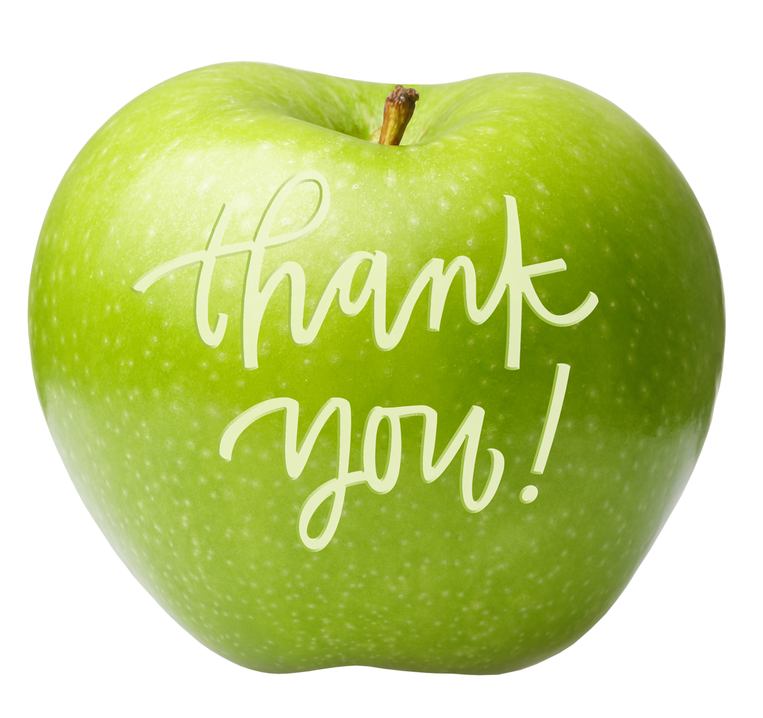 Thank You!